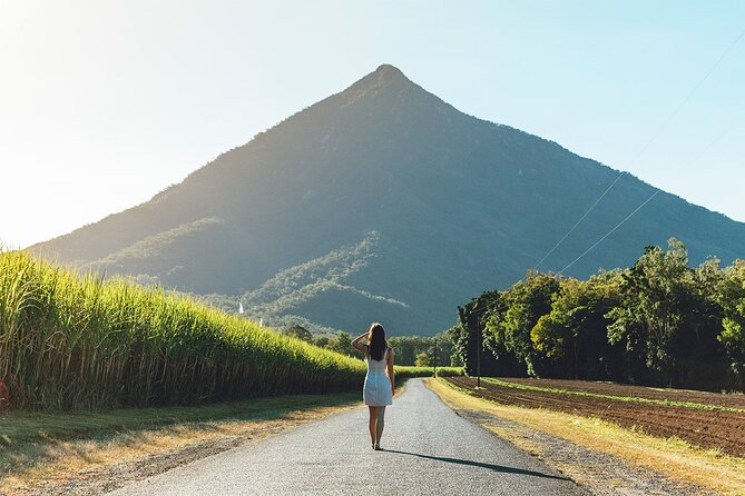 Explorer Tour by Cairns Waterfalls - Cairns Botanic Gardens and the Red Arrow Walk: the calm start that pays off
