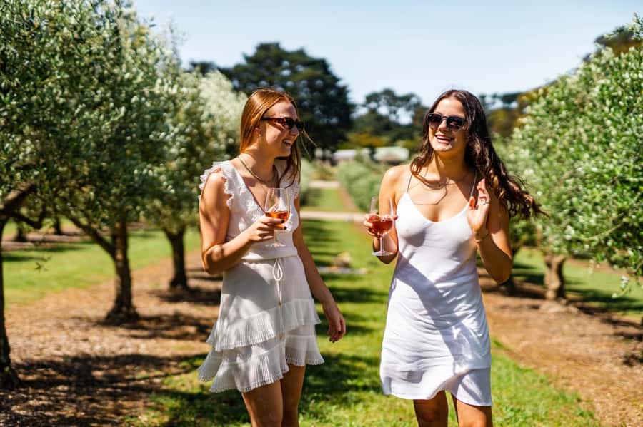 Farm Picnic for 2 adults - Key Highlights to Know Before You Go