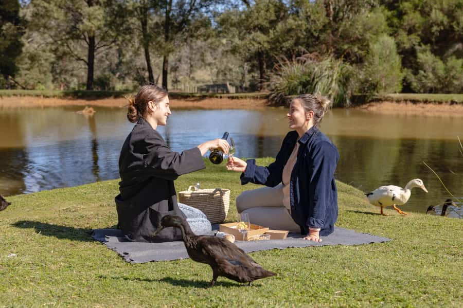 Farm Picnic for 2 adults - Green Olive at Red Hill: what kind of picnic this really is