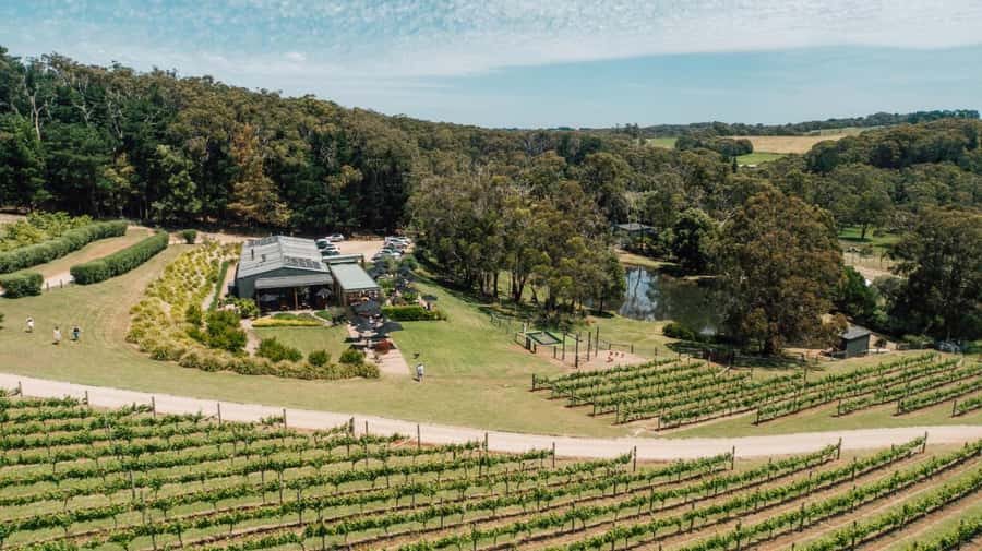 Farm Picnic for 2 adults - Picking up your hamper and finding your private corner