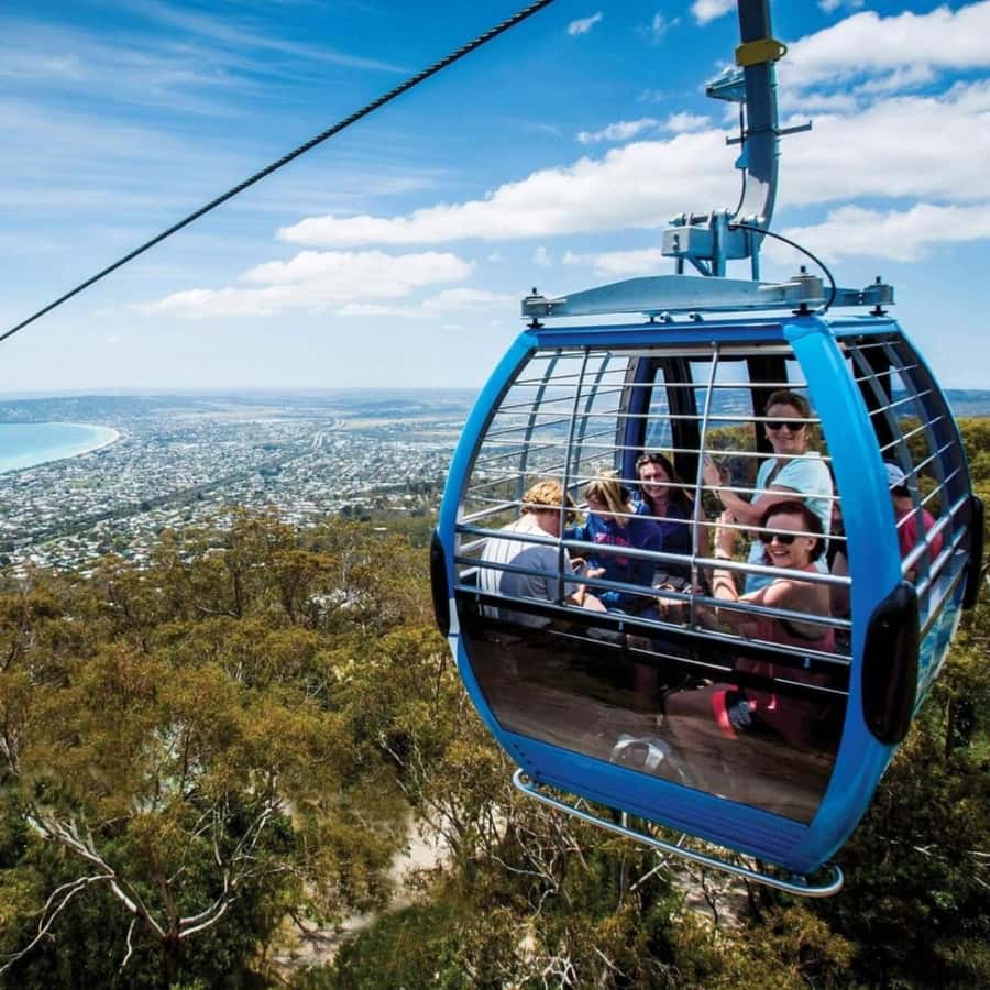 Farmer's Lunch and Arthurs Seat Eagle Cable Car Ride - For 2 - Green Olive at Red Hill lunch: grazing plates with estate wine