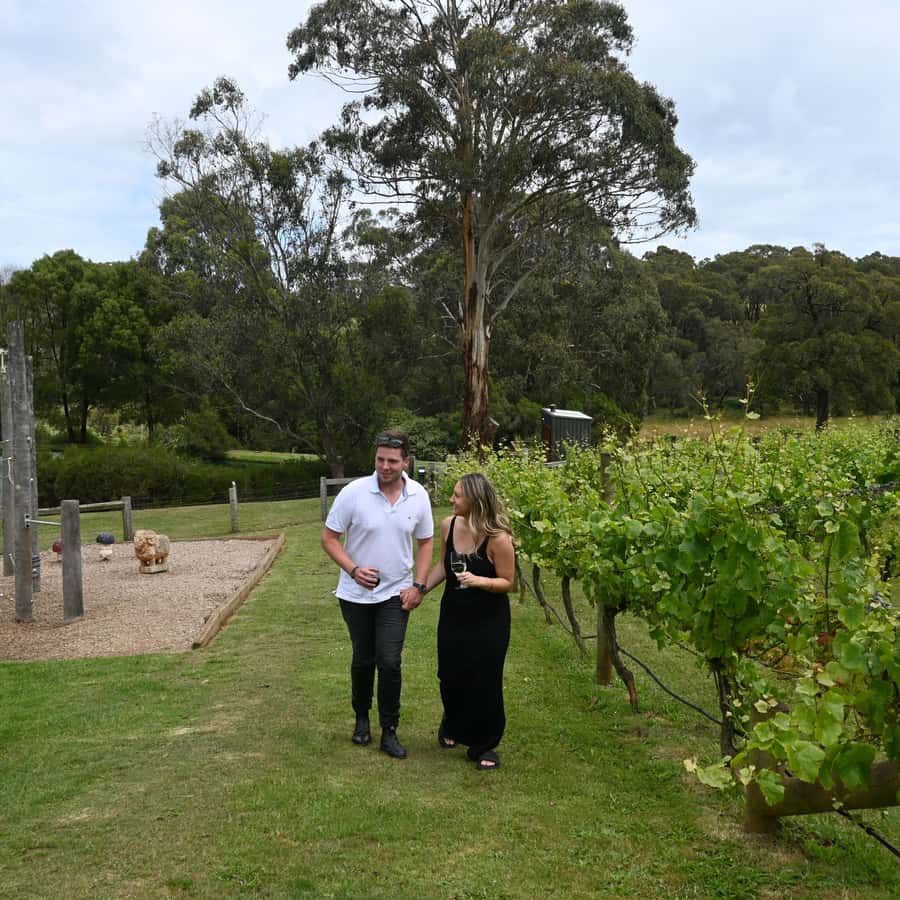 Farmers Lunch - Food and Wine for 2 - Views to eat with: vineyard sightlines and that pond-and-ducks calm