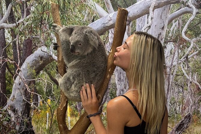 Featherdale Wildlife Park with Exclusive Private Transfers - The “short day” wildlife trip that still feels personal
