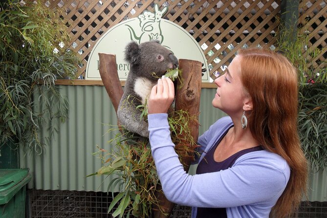 Featherdale Wildlife Park with Exclusive Private Transfers - Price and value: €207.15 per person, and what makes it feel fair