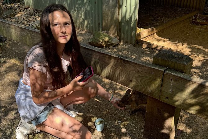 Featherdale Wildlife Park with Exclusive Private Transfers - Quick tips to get the most from your 4 hours