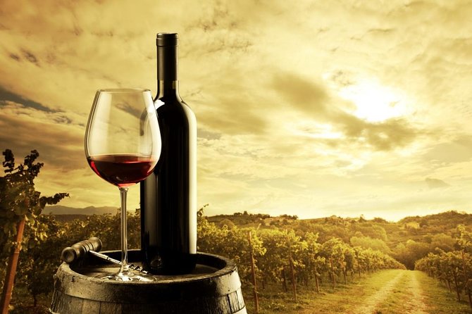 Feed Me Food and Wine Experience in Adelaide - Practical Tips Before You Go