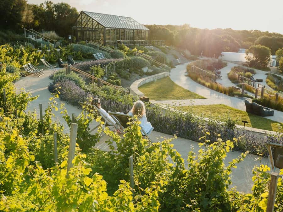 Fingal: Peninsula Hot Springs Entry with Lunch Credit - Key Highlights You’ll Actually Care About