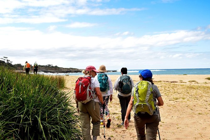First Australians Tour | 3pm Daily - Who this tour suits best (and who should skip it)
