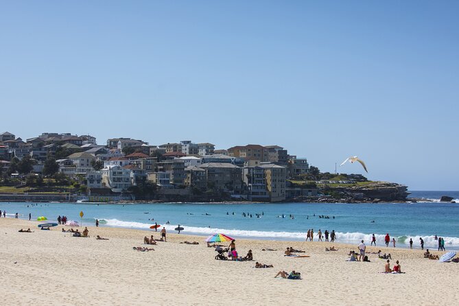 First Timer Sydney Sightseeing & Bondi Beach 1/2 Day Tour - Mrs Macquarie’s Chair: the best “bridge + Opera House” viewpoint combo