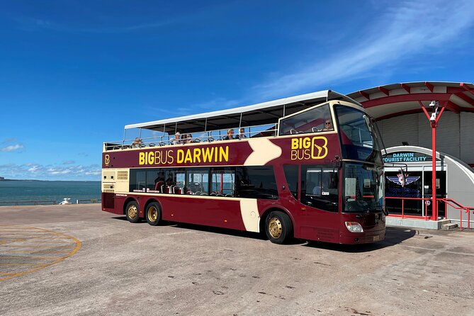 Fish Feeding Activity in Darwin - How this fits Darwin: a solid choice for families and first-timers