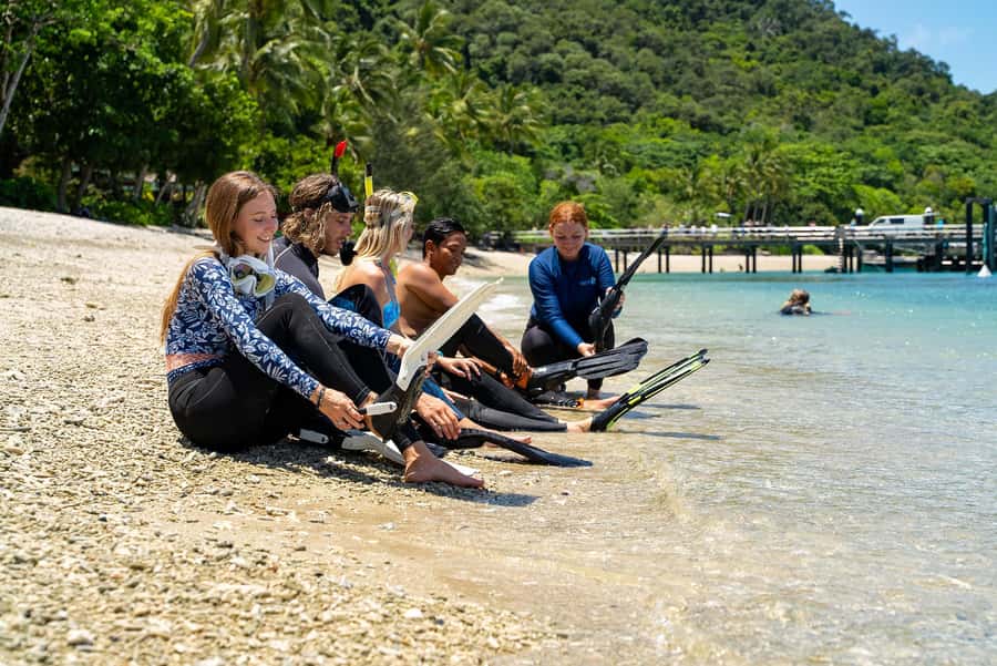 Fitzroy Island: Full-Day Ferry & Snorkel Safari Guided Tour - Who This Tour Fits Best (And Who Should Skip It)