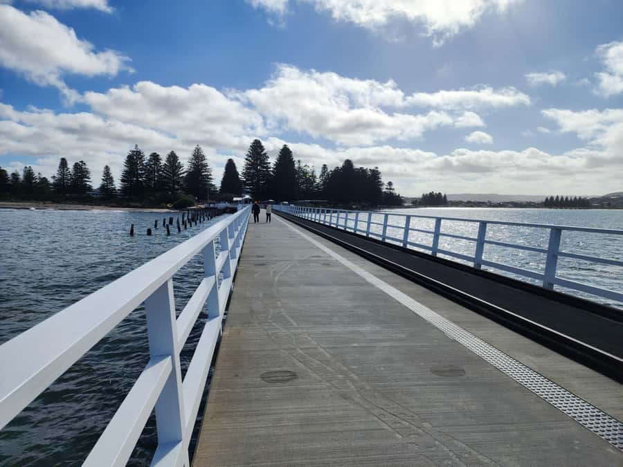 Fleurieu Coast: Victor Harbor, Port Elliot & d'Arenberg Tour - Key points