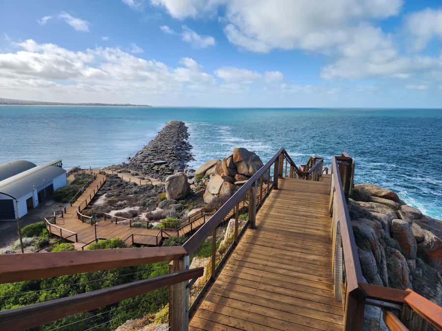 Fleurieu Coast: Victor Harbor, Port Elliot & d'Arenberg Tour - Victor Harbor with 2 hours of breathing room (Granite Island options)