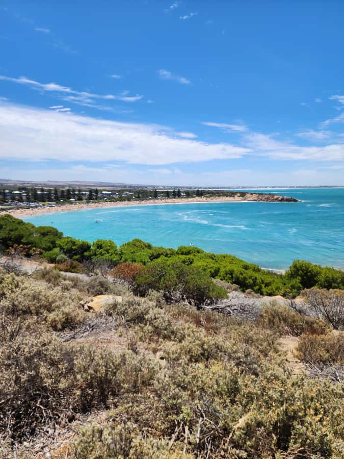 Fleurieu Coast: Victor Harbor, Port Elliot & d'Arenberg Tour - Who should book this Fleurieu Coast tour (and who should skip it)