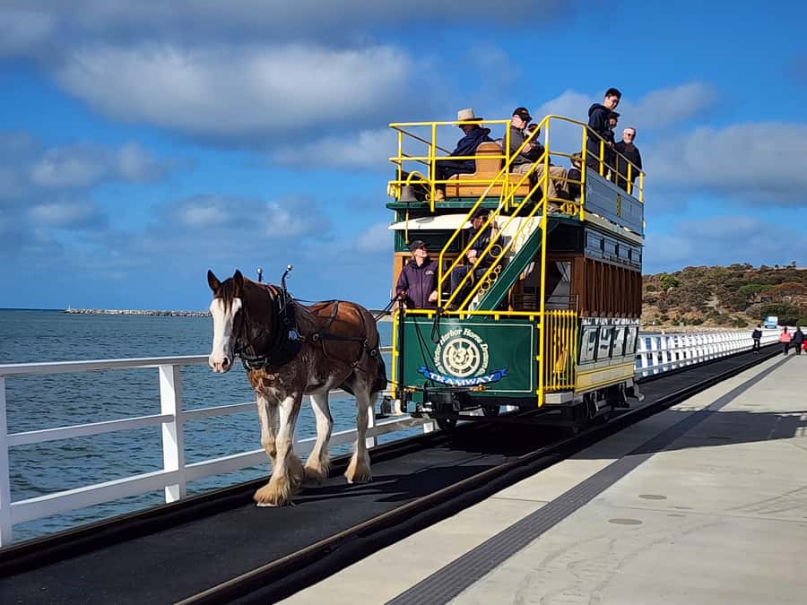 Fleurieu Coast: Victor Harbor, Port Elliot & d'Arenberg Tour - The scenic South Coast drive and the McLaren Vale coffee break