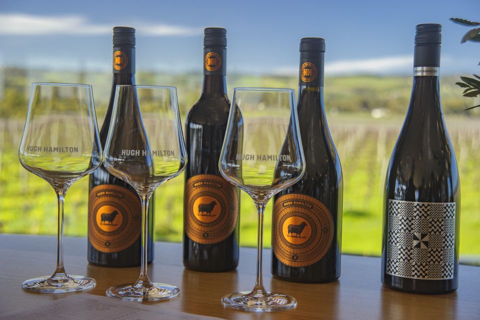 Fleurieu Peninsular: McLaren Vale Winery Experience - Stop 1: Maxwell Wines tasting session