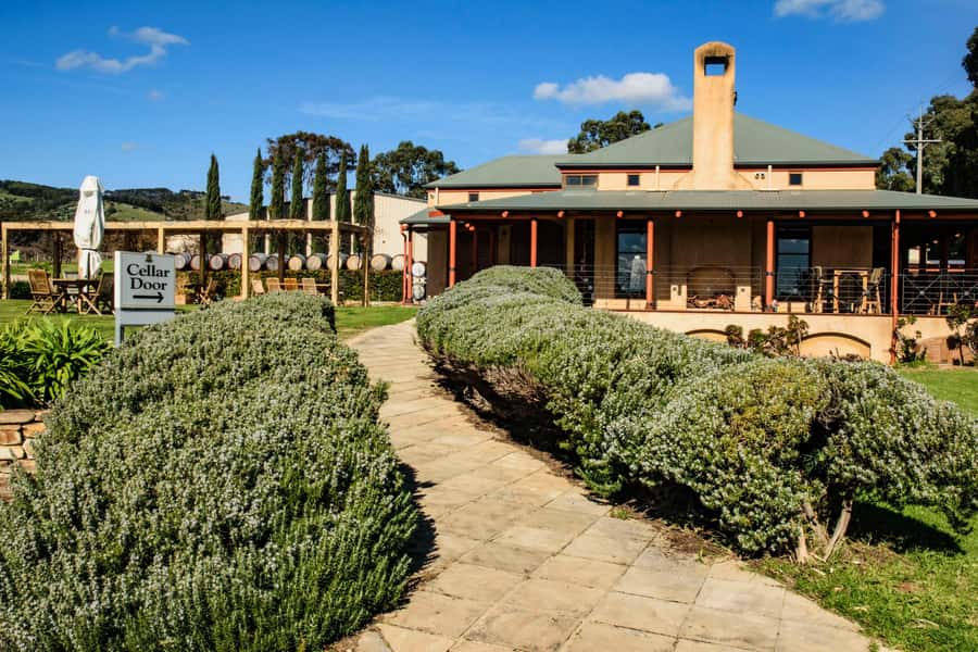 Fleurieu Peninsular: McLaren Vale Winery Experience - Stop 3: Oliver’s Taranga cellar door for lunch and tasting