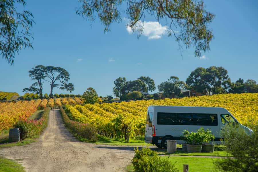 Fleurieu Peninsular: McLaren Vale Winery Experience - Getting picked up near Adelaide and Glenelg (and staying comfortable)