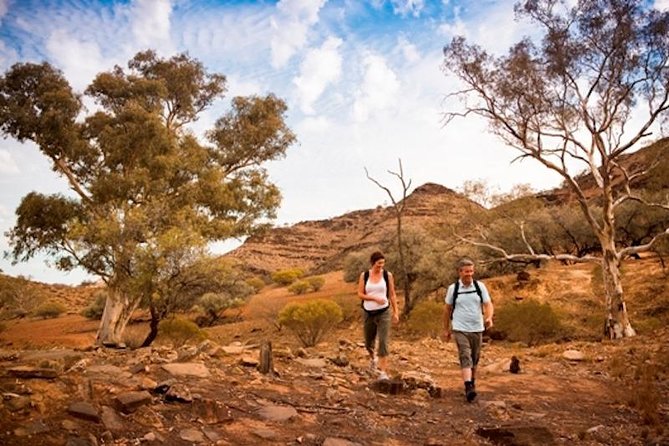 Flinders Ranges 3-Day Small Group 4WD Eco Tour from Adelaide - 4WD in the Flinders: why this feels like the real thing