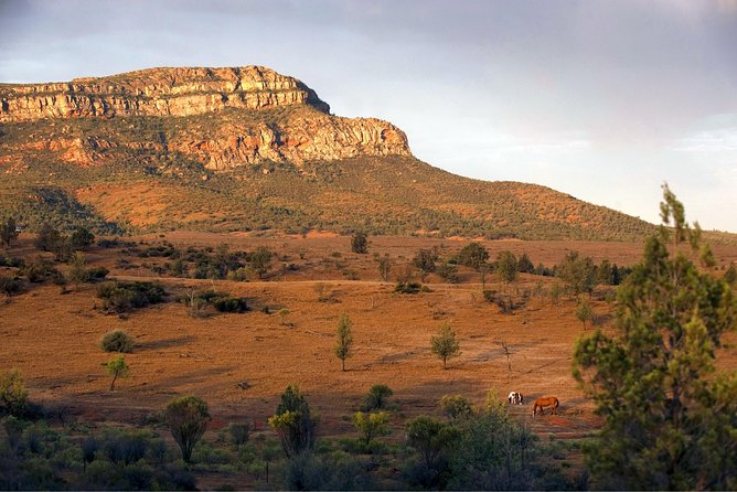 Flinders Ranges 3-Day Small Group 4WD Eco Tour from Adelaide - Day-by-day: what your 3 days actually feel like