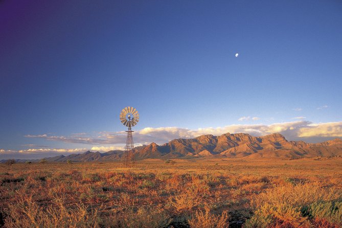 Flinders Ranges 3-Day Small Group 4WD Eco Tour from Adelaide - Fossils and deep time: 540 million years in plain language