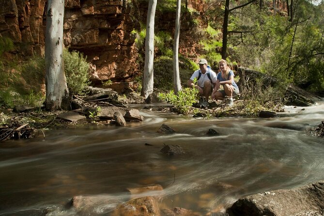 Flinders Ranges 5-Day Small Group 4WD Eco Tour from Adelaide - Day 5 Wangara Lookout Early Walk and the Long Return Drive