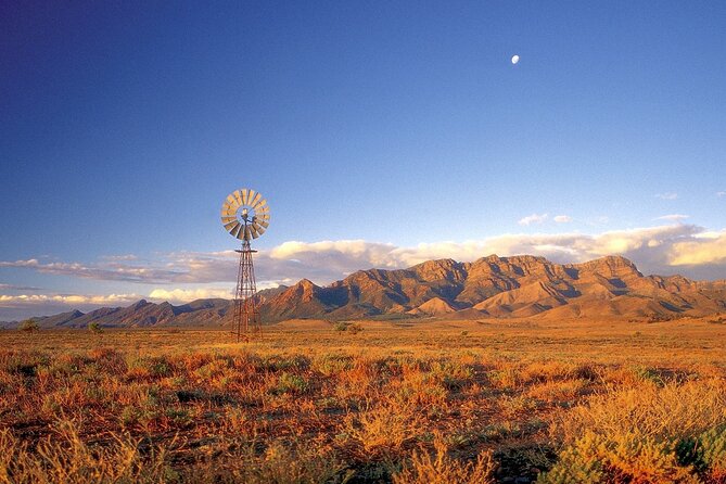 Flinders Ranges 5-Day Small Group 4WD Eco Tour from Adelaide - Guides, Small-Group Energy, and How the Stories Land
