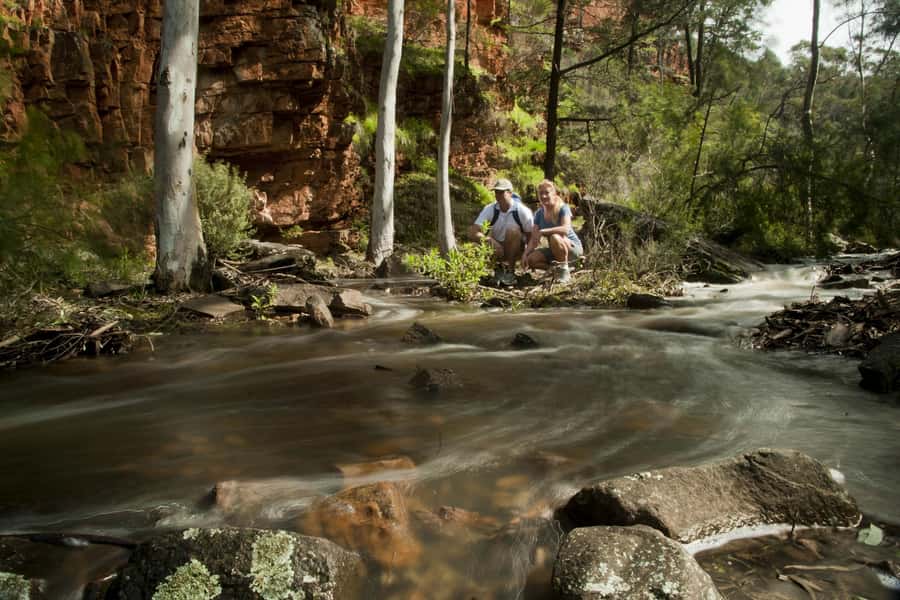 Flinders Ranges & Outback: 3-Day 4WD Tour from Adelaide - Key things I’d book this for