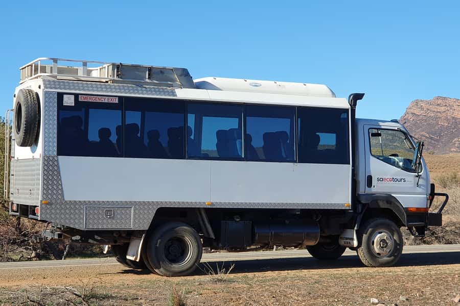 Flinders Ranges & Outback: 3-Day 4WD Tour from Adelaide - Wildlife, fossils, and Aboriginal art: what you’re really taking away