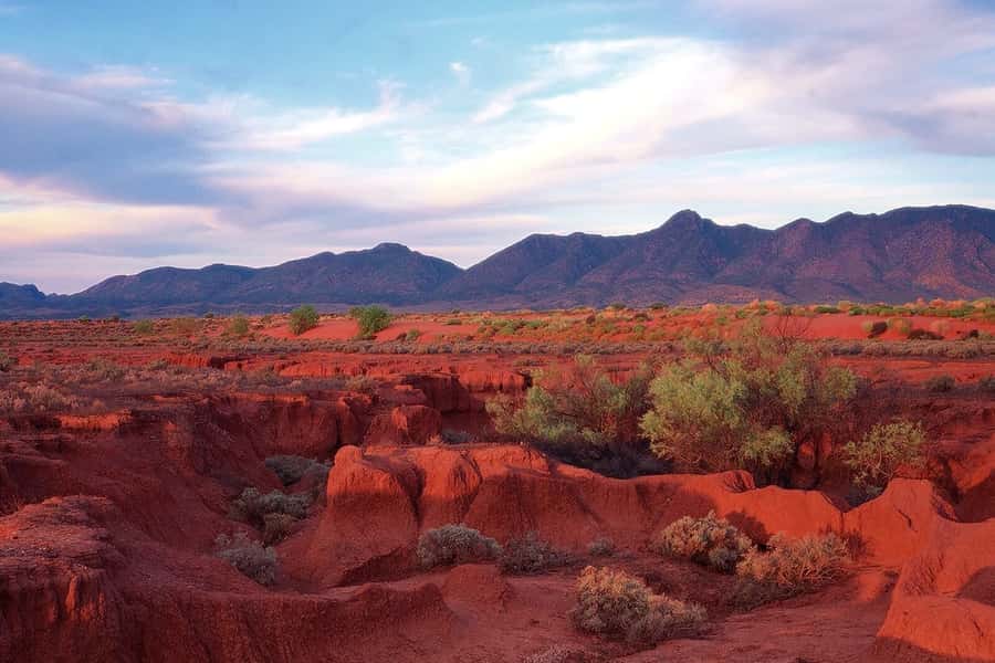 Flinders Ranges & Outback: 3-Day 4WD Tour from Adelaide - Should you book SA Eco Tours?