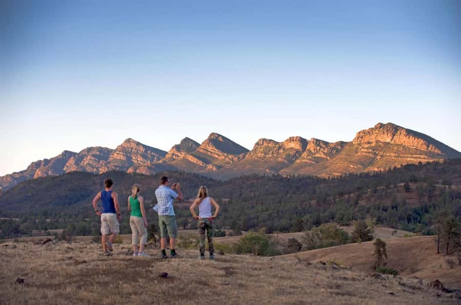 Flinders Ranges & Outback: 3-Day 4WD Tour from Adelaide - Day 1: Rawnsley Park Station, a bush walk among ancient mountains, and wallabies
