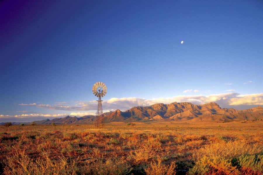Flinders Ranges & Outback: 5-Day 4WD Tour from Adelaide - Quick reasons this tour is a standout
