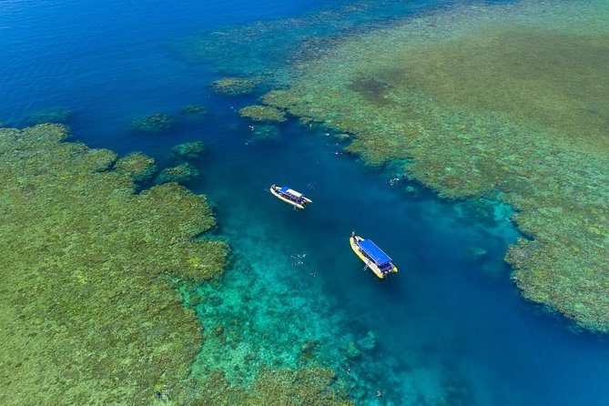 Fly Raft Package: Whitehaven Beach, Snorkel and Scenic Flight - Inner fringing reef snorkelling: stinger suits, real instruction, and fish spotting