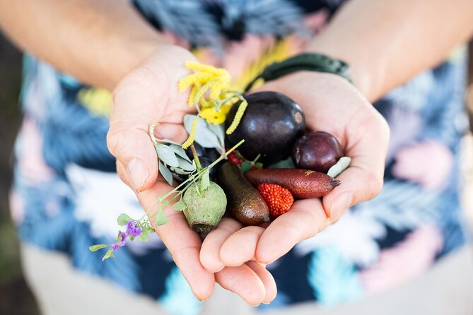 Foraging Tour: Botanical Gardens Walk & Picnic - Indigenous plant knowledge: learning food and medicine, not just snacks