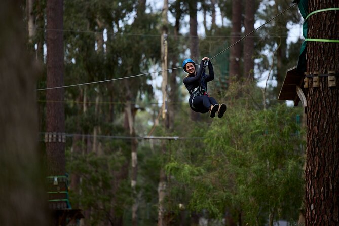 Forest Adventures - Key points that make Forest Adventures worth your time