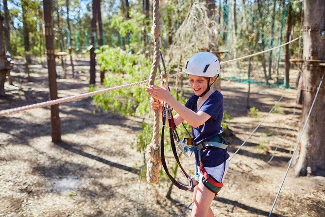 Forest Adventures - Pricing, value, and who gets the best experience