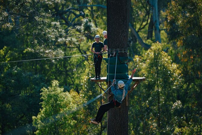 Forest Adventures - How the courses work: 3 to 19 metres and a pick-your-pace system