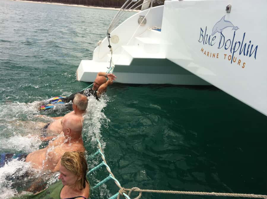 Fraser Island 4-Hour Eco-Sailing Adventure - Should you book Blue Dolphin Marine Tours?