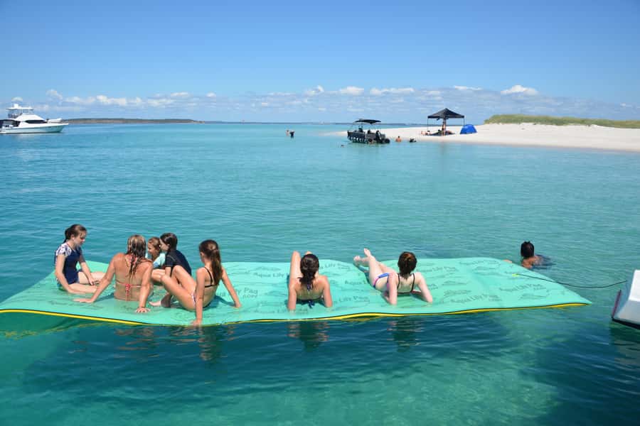Fraser Island 4-Hour Eco-Sailing Adventure - Dolphins, dugongs, turtles: what you’re really hunting for (and how to read the water)