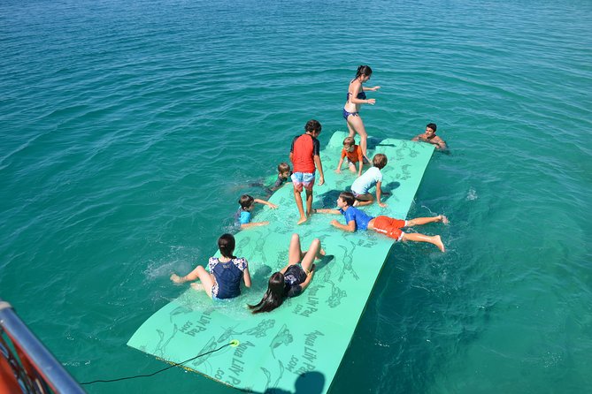 Fraser Island & Dolphin Sailing Adventure - Why This Half-Day Dolphin Trip Feels Different