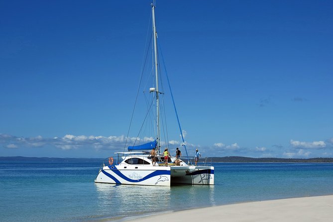 Fraser Island & Dolphin Sailing Adventure - How to Get the Best Chance at Dolphins (Without Losing Your Mind)