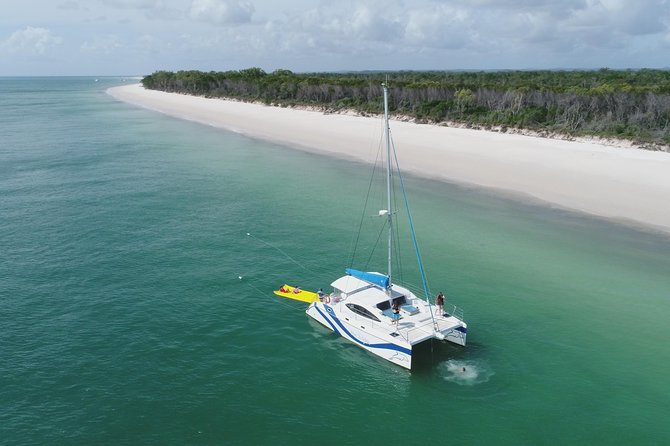 Fraser Island & Dolphin Sailing Adventure - Who This Tour Fits Best in the Fraser/Hervey Bay Region