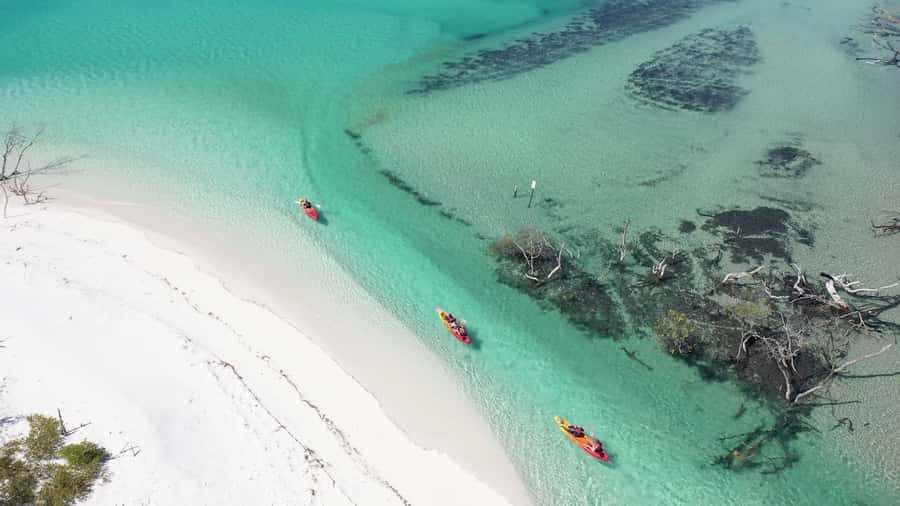 Fraser Island (K'gari): Remote Island and Whale Experience - Awinya or Bowarrady Creek: A Second Dose of Calm Water
