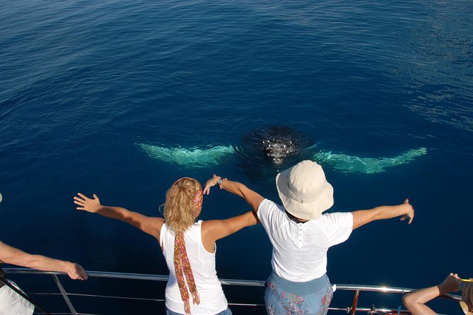 Fraser Island Whale Watch Encounter - Listening to Whale Songs: Hydrophone Time Is Surprisingly Powerful