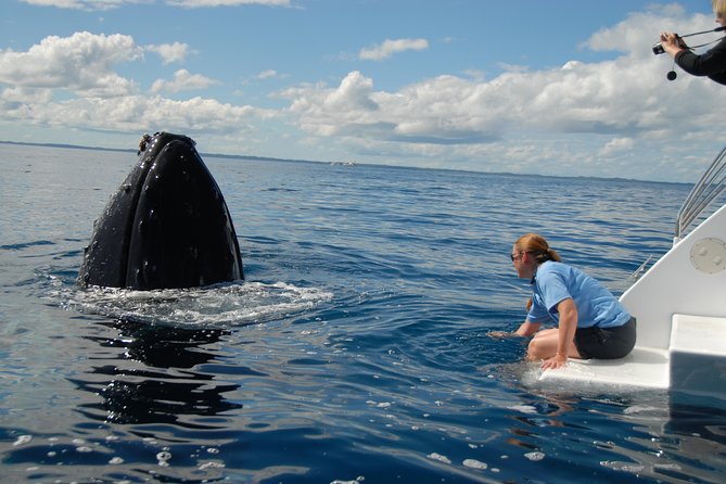 Fraser Island Whale Watch Encounter - Stop Focus: Hervey Bay to Platypus Bay to K’gari (Fraser Island)