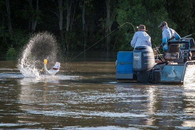 Freshwater or Saltwater Barramundi Fishing Day Trip from Darwin - Freshwater or Saltwater Barra: Which Option Makes Sense for You?