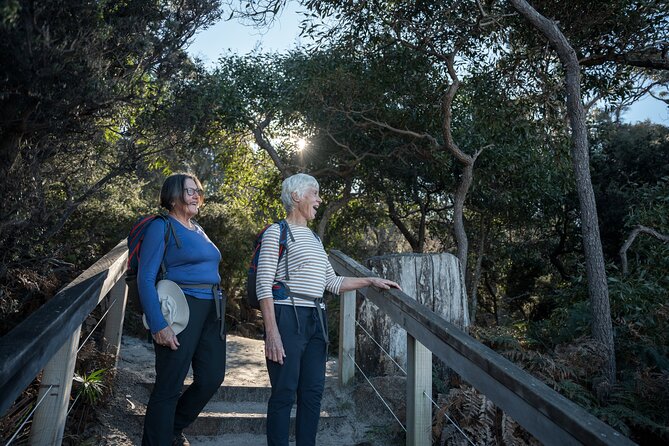 Freycinet Walking Tour - Stop 1: Wineglass Bay Lookout and the “worth it” payoff