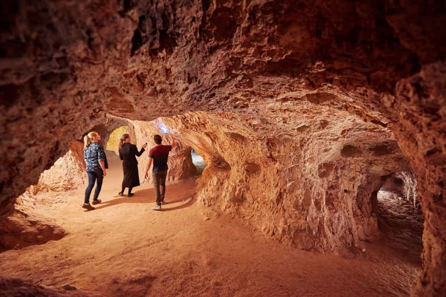 From Adelaide: 7-Day Adventure Tour to Uluru - Day 2: Wangara Lookout, Hills Homestead, and Warren Gorge wallabies