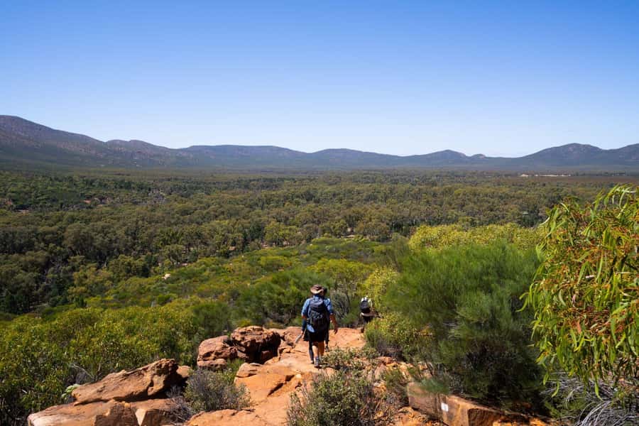 From Adelaide: 7-Day Adventure Tour to Uluru - Day 6: Kata Tjuta Walpa Gorge, Aṉangu stories, and Field of Light options