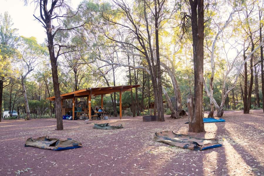 From Adelaide: 7-Day Adventure Tour to Uluru - Price and what $929 really buys